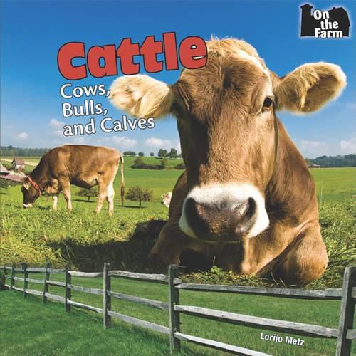 Cover image for Cattle