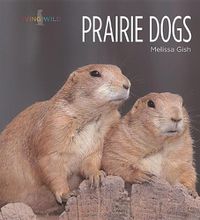 Cover image for Prairie Dogs