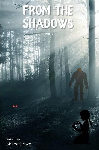 Cover image for From The Shadows Vol 2