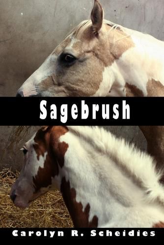 Cover image for Sagebrush