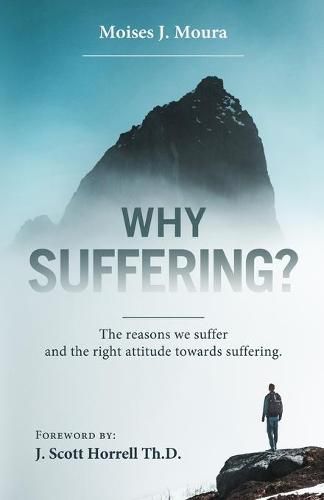 Cover image for Why Suffering?