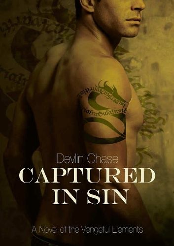 Cover image for Captured In Sin