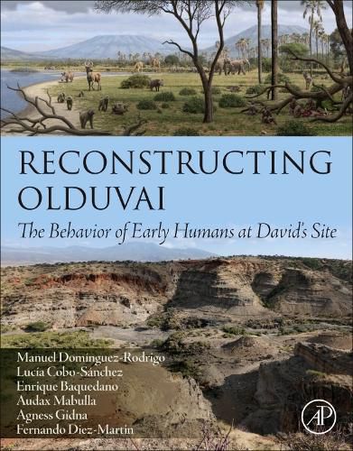 Cover image for Reconstructing Olduvai