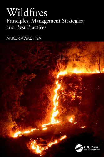 Cover image for Wildfires