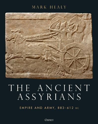 Cover image for The Ancient Assyrians: Empire and Army, 883-612 BC