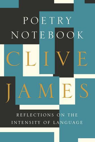 Cover image for Poetry Notebook: Reflections on the Intensity of Language