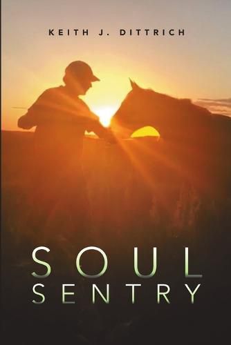 Cover image for Soul Sentry