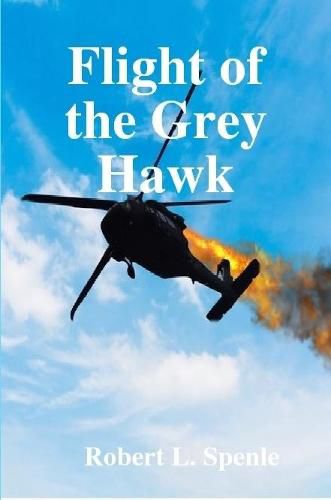 Cover image for Flight of the Grey Hawk