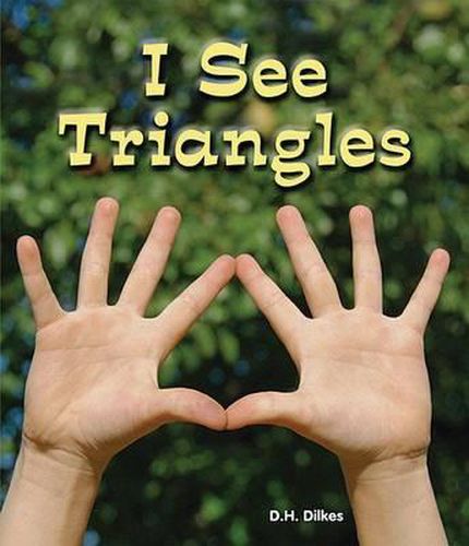 Cover image for I See Triangles