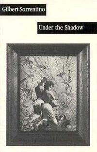 Cover image for Under the Shadow