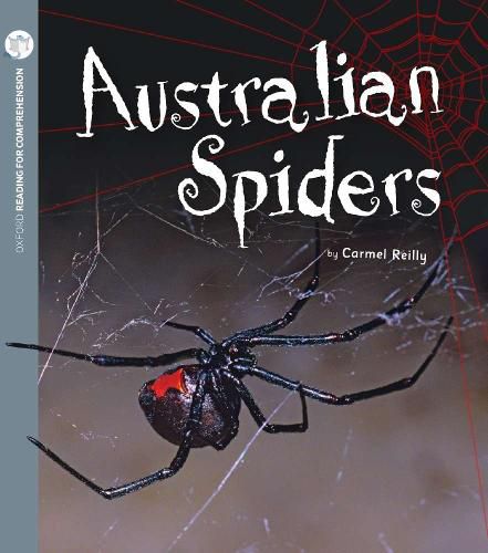 Cover image for Australian Spiders: Oxford Level 7: Pack of 6