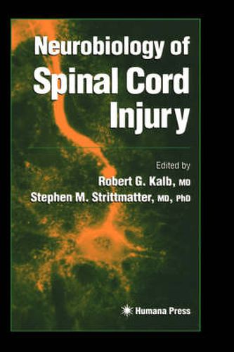 Cover image for Neurobiology of Spinal Cord Injury