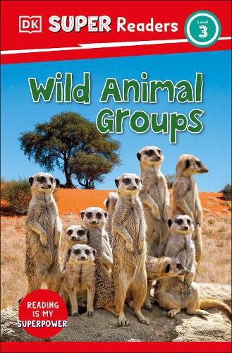 Cover image for DK Super Readers Level 3 Wild Animal Groups