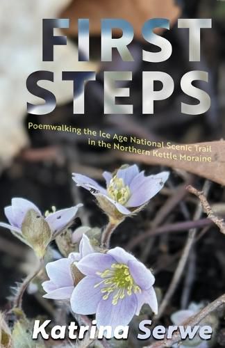 Cover image for First Steps