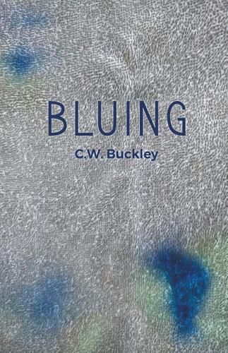 Cover image for Bluing