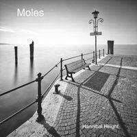 Cover image for Moles