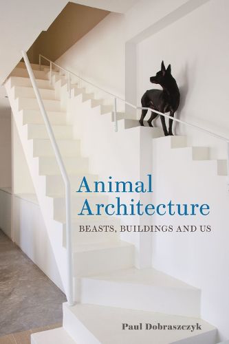 Cover image for Animal Architecture