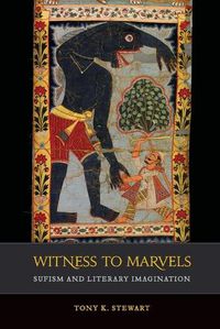 Cover image for Witness to Marvels: Sufism and Literary Imagination