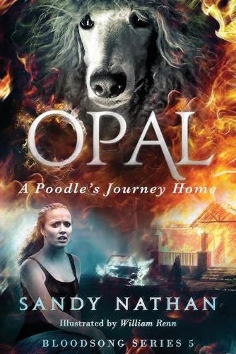 Cover image for Opal: A Poodle's Journey Home