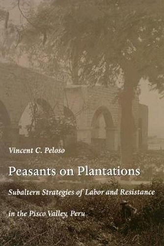 Peasants on Plantations: Subaltern Strategies of Labor and Resistance in the Pisco Valley, Peru