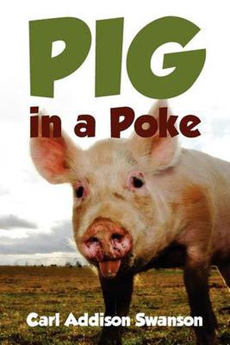 Cover image for Pig in a Poke