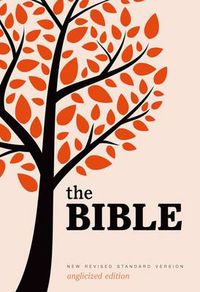 Cover image for New Revised Standard Version Bible: Popular Text Edition