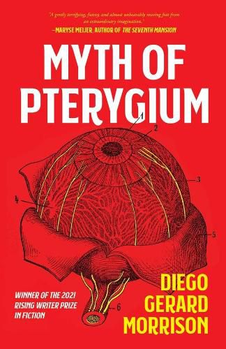 Cover image for Myth of Pterygium