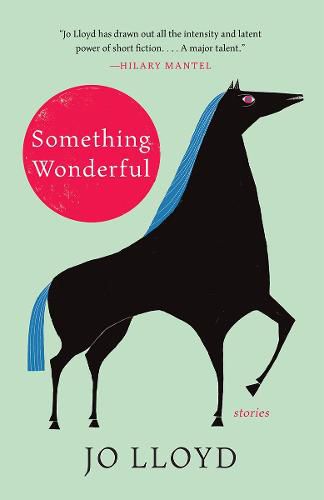 Cover image for Something Wonderful: Stories