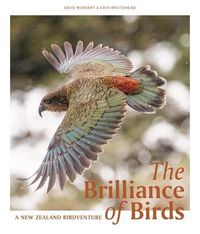 Cover image for The Brilliance of Birds