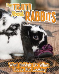 Cover image for The Truth about Rabbits: What Rabbits Do When You're Not Looking