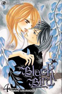 Cover image for Black Bird, Vol. 4
