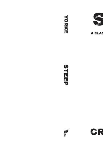 Cover image for Steep