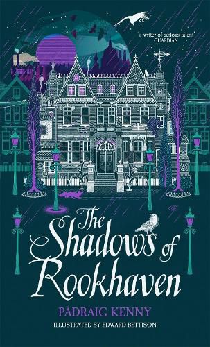 Cover image for The Shadows of Rookhaven