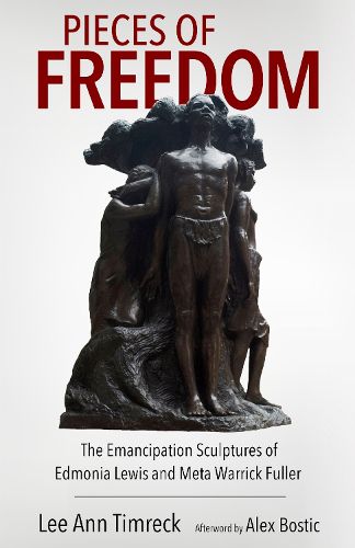 Cover image for Pieces of Freedom