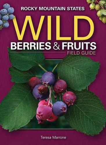 Cover image for Wild Berries & Fruits Field Guide of the Rocky Mountain States