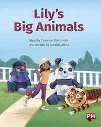 Cover image for Lily's Big Animals Lily's Big Animals