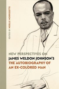 Cover image for New Perspectives on James Weldon Johnson's  The Autobiography of an Ex-Colored Man