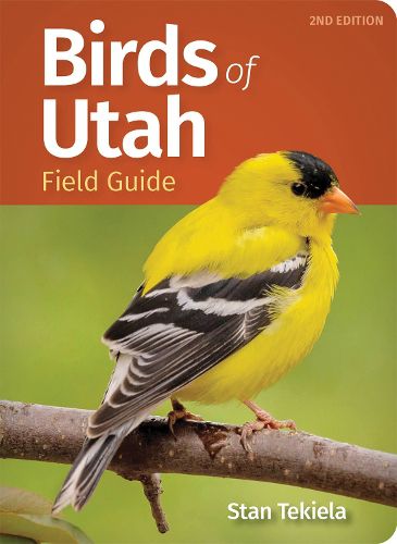 Cover image for Birds of Utah Field Guide