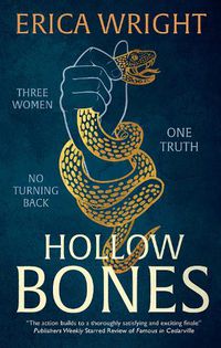 Cover image for Hollow Bones