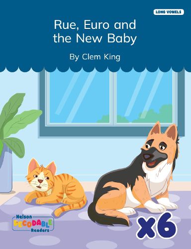 Cover image for Rue, Euro and the New Baby x 6 (Long Vowels Alternative Spellings)