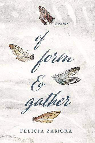 Cover image for Of Form & Gather