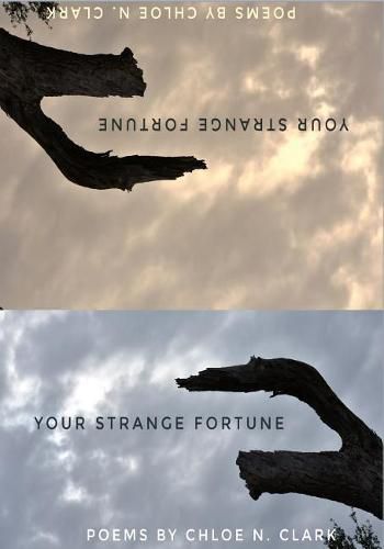 Cover image for Your Strange Fortune