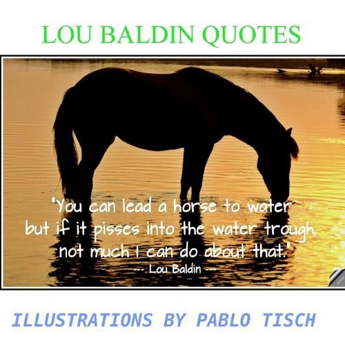 Cover image for Lou Baldin Quotes Illustrations by Pablo Tisch