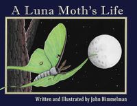 Cover image for A Luna Moth's Life