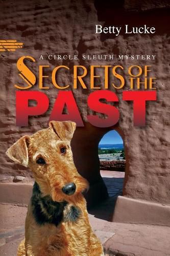 Cover image for Secrets of the Past