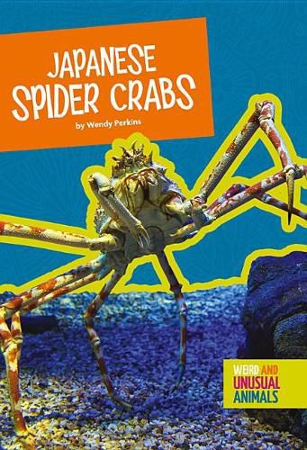 Cover image for Japanese Spider Crabs