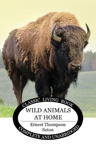 Cover image for Wild Animals at Home