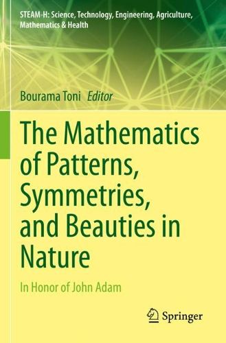 Cover image for The Mathematics of Patterns, Symmetries, and Beauties in Nature: In Honor of John Adam