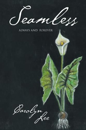 Cover image for Seamless: Always and Forever