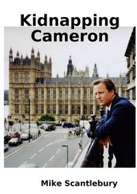 Cover image for Kidnapping Cameron